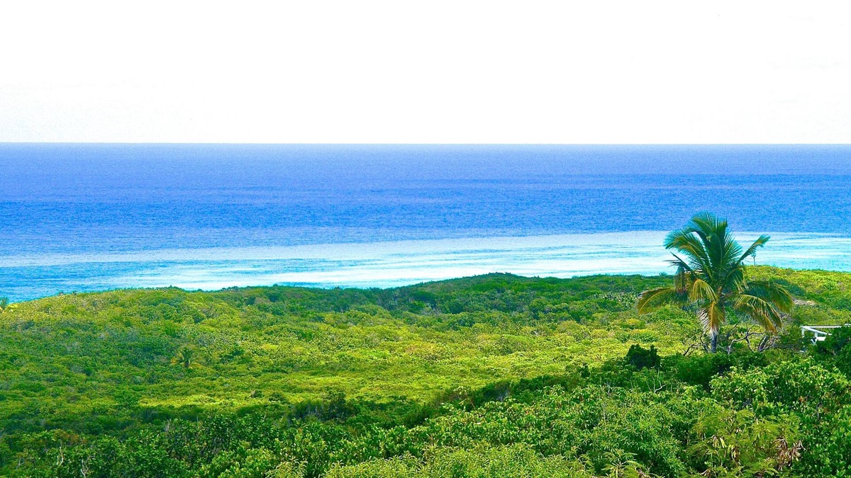 Gregory Town Apartment | Stairway to a Heavenly View, Elevated panorama of the island