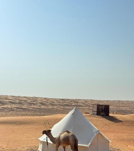 Bidiya Other | Starlight privet camp