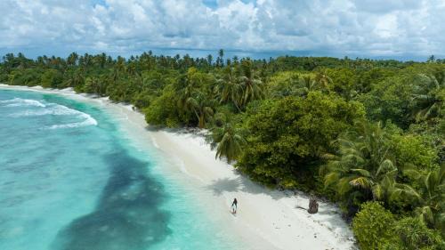 Thimarafushi House | Stay Mikado
