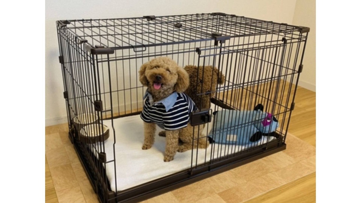 Sumiyoshi Hotel | Staying with your dog is OK With kitchen and wash/Fukuoka Fukuoka