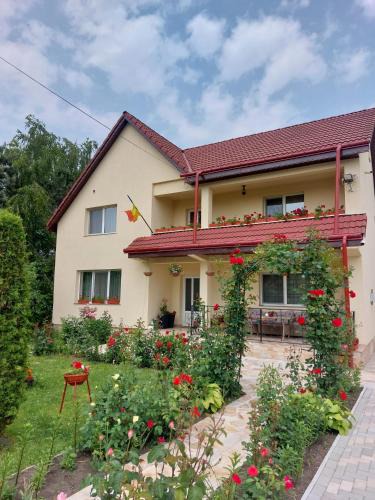 Tirgu Neamt House | Steaua Nordului