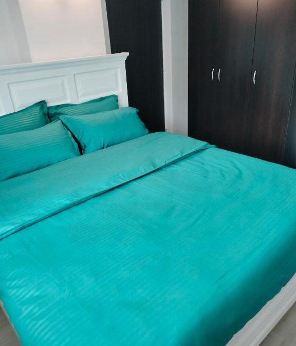 Iasi Apartment | Stefan Apart Iași centru Palas