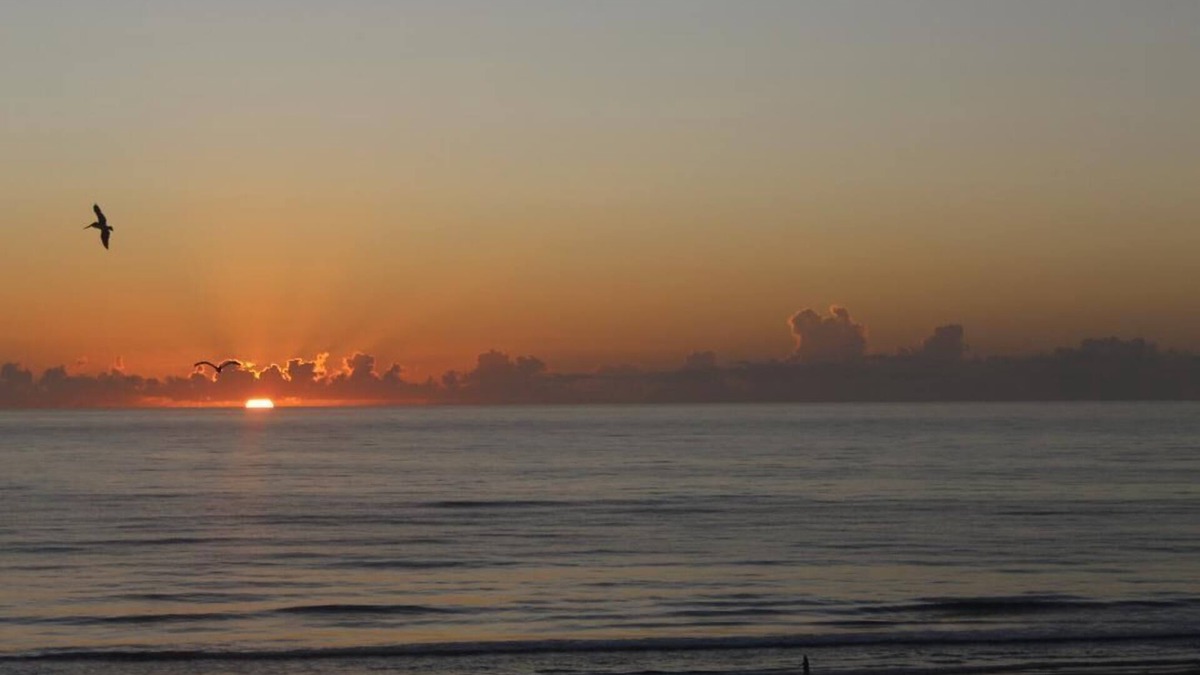 Daytona Beach Shores Apartment | Steps to a beautiful beach Gorgeous Ocean Views!