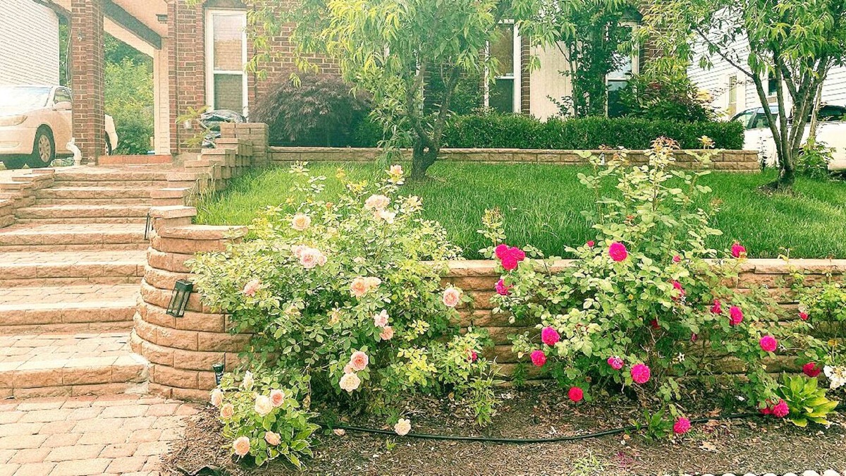 Sterling House | Sterling 4BR- Sleep 8 Private backyard 10 Min to IAD.