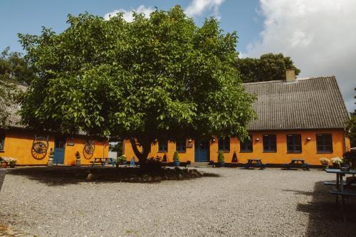 Store Heddinge Bed & Breakfast | Stevns Klint Bed & Breakfast