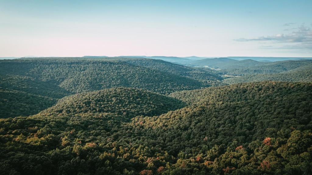 McMinnville House | Stone's Mountain View