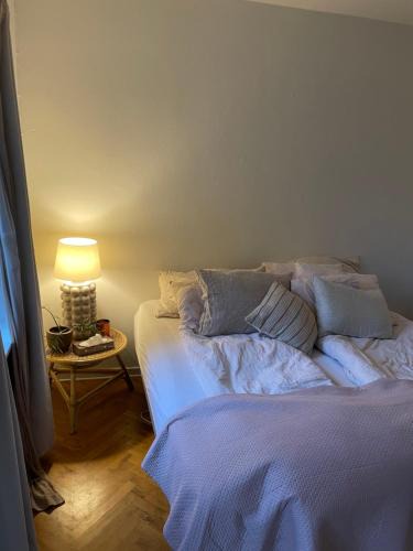 Odense House | Stort værelse udlejes i herskabslejlighed midt i Odense by