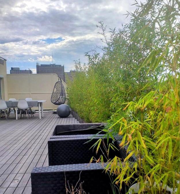 Poincare Apartment | Strasbourg centre proche gare