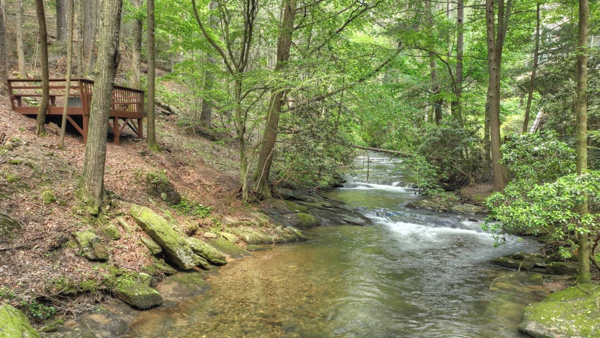 Walnut Mountain Cabin | Streams and Daydreams - Relax by the river!