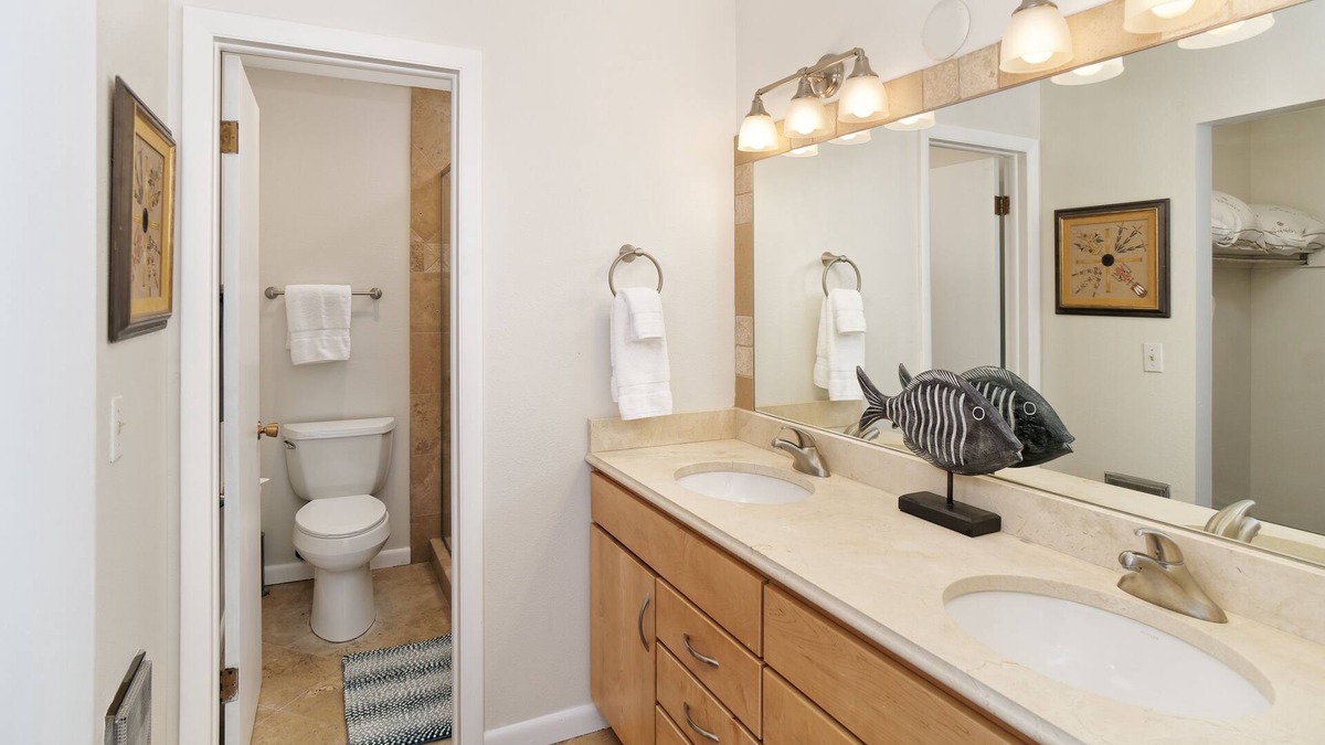 Carbondale House | Streamside Paradise - back to fly fishing and open space