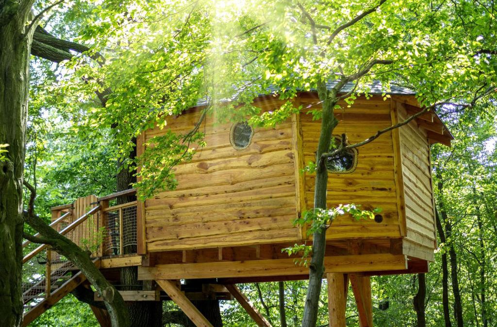 Vlckova House | Stromodomek Vlčková