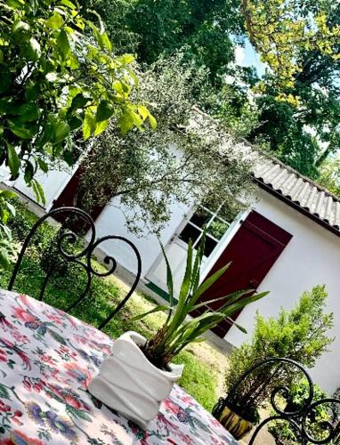 Linxe House | Studio à Linxe entre terre et océan