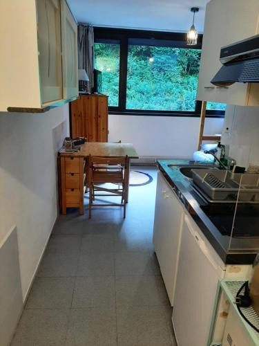 Torcy Apartment | Studio 19 m2 à louer au Mont-Dore