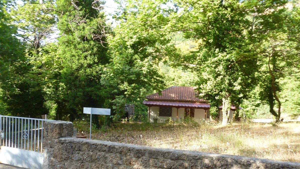 Seliana House | STUDIO AMONG THE PLATANS , BIRDS AND THE STREEMS WATERS