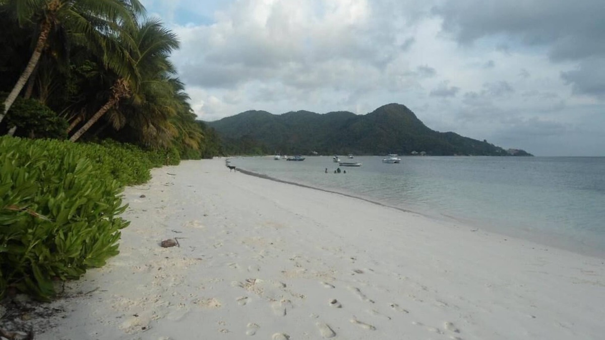 Grand Anse House | Studio Apartment - Angeline