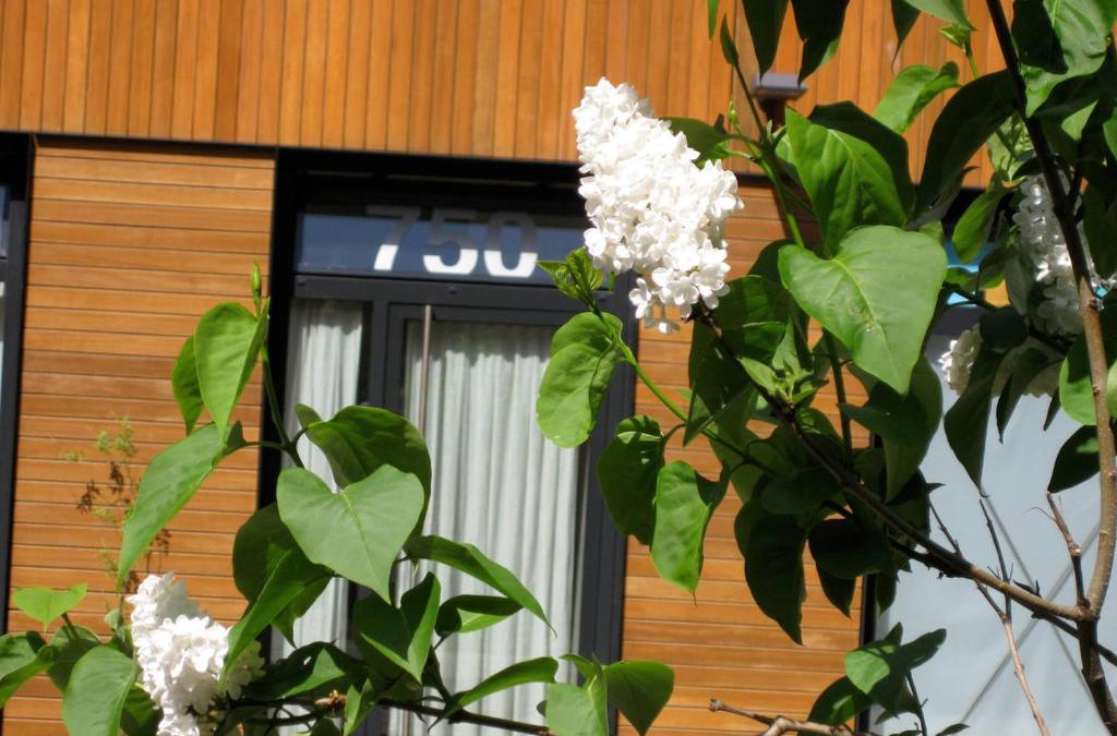 Haarlemmerbuurt Apartment | Studio-apartment in city-center