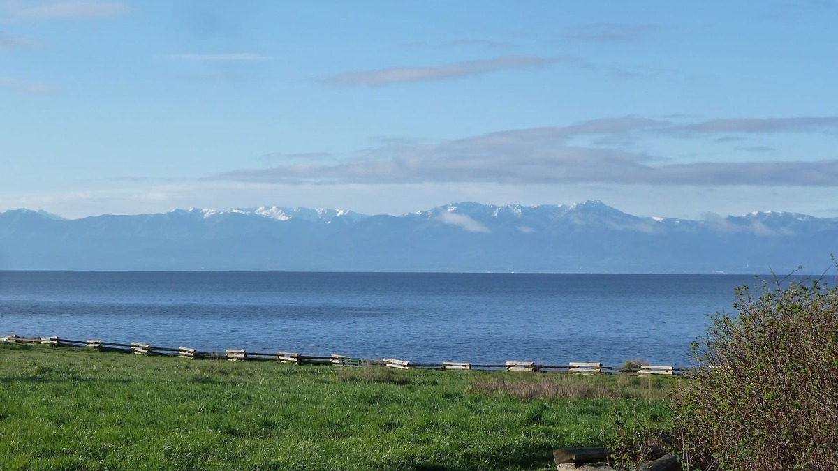 James Bay Apartment | Studio Apartment with charm in a Heritage Home just steps to the Ocean.