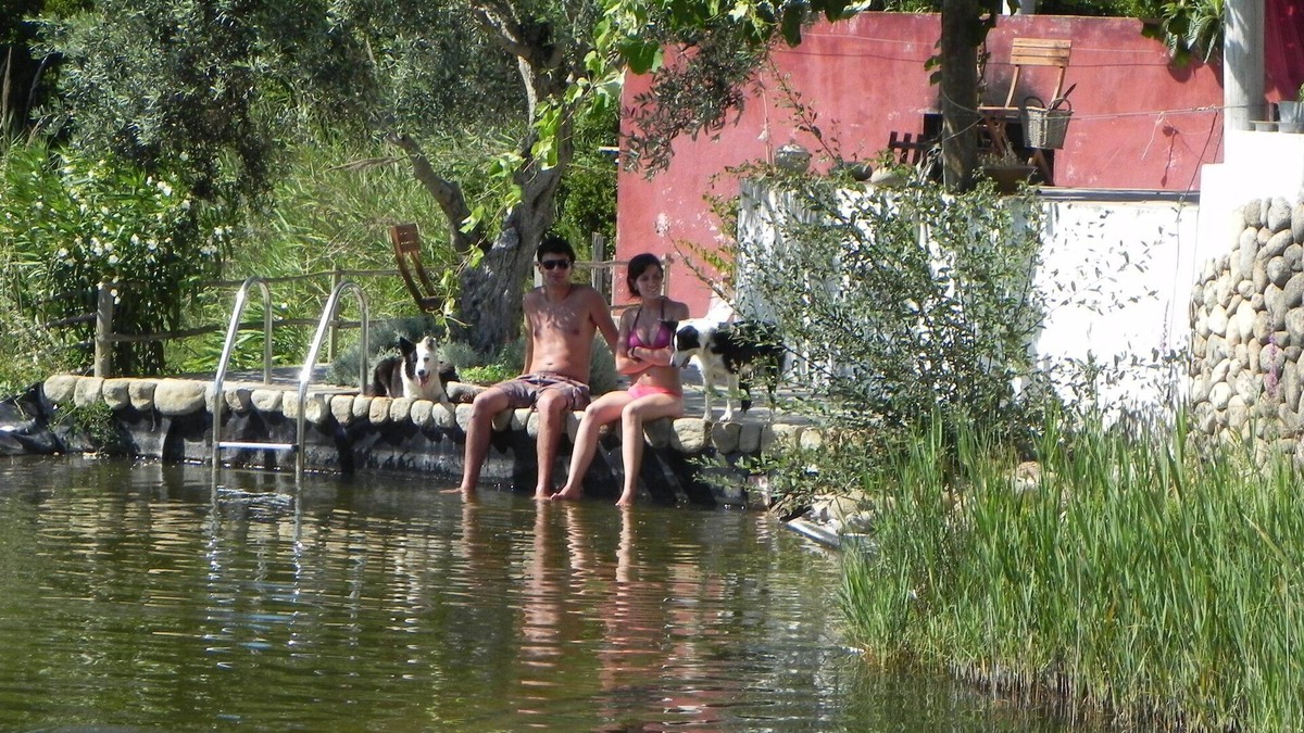 Nadadouro House | Studio at an Organic Farm on the spot contemplative over the lagoon