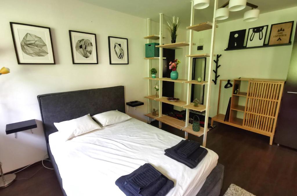 Azuga Apartment | Studio Azuga