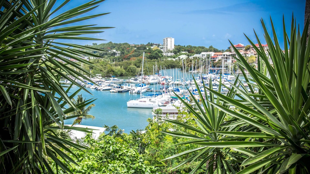 Pointe-a-Pitre Apartment | Studio Bord de Mer in Guadeloupe