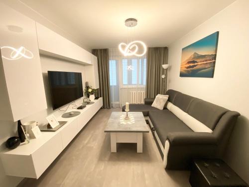 Panevezys Apartment | Studio flat in Panevezys