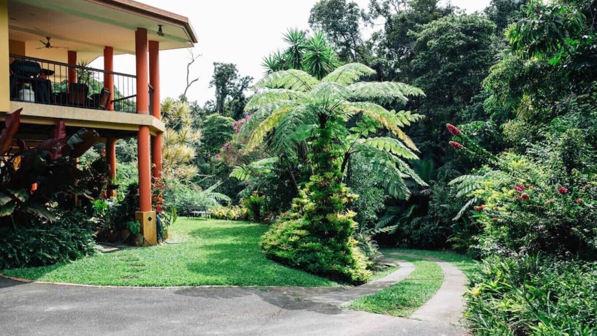 Kuranda Apartment | Studio in the Rainforest