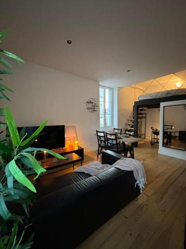 Saint-Roch - Badouillere - Chavanelle Apartment | Studio industriel, mezzanine, rénové, central 201