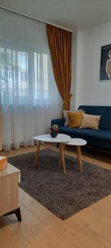 Sibiu Apartment | Studio Intim si Cochet