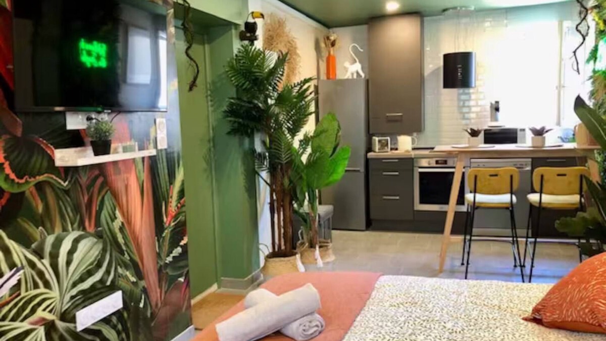 Brive-la-Gaillarde Apartment | Studio Jungle Air-conditioned - Rated 3 stars