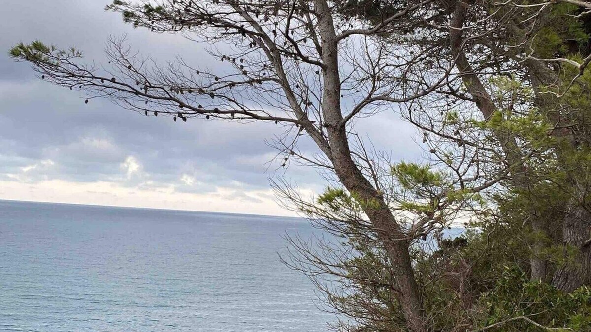 La Franqui Apartment | Studio LA FRANQUI Le petit paradis de vacances - Climatisé
