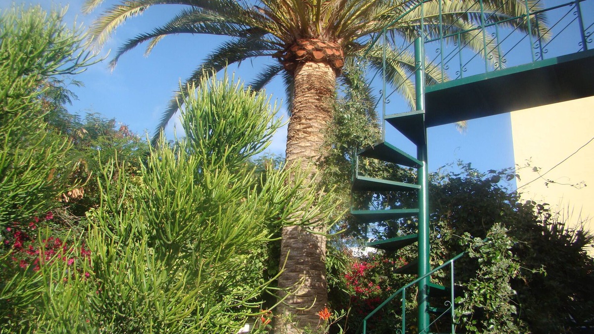 Aldea Blanca Cottage | Studio Marcel, Comfortable and economical, Tenerife