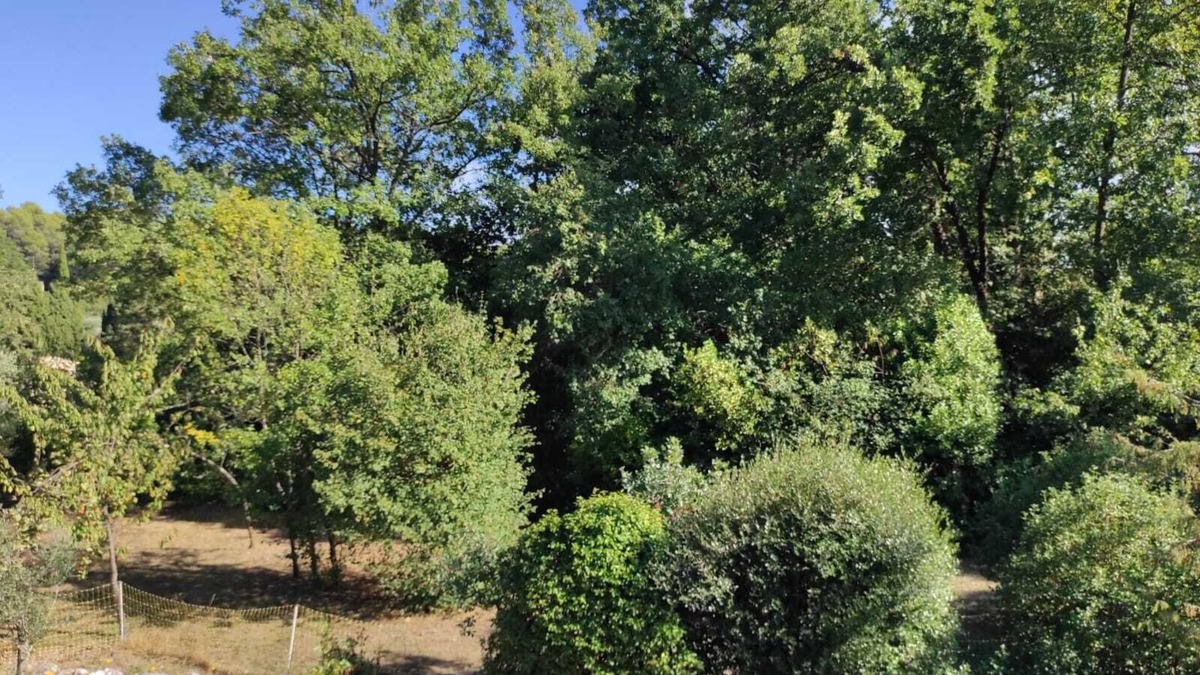 Cabris Apartment | Studio Moderne à la Campagne, Pour les Amoureux de la Nature