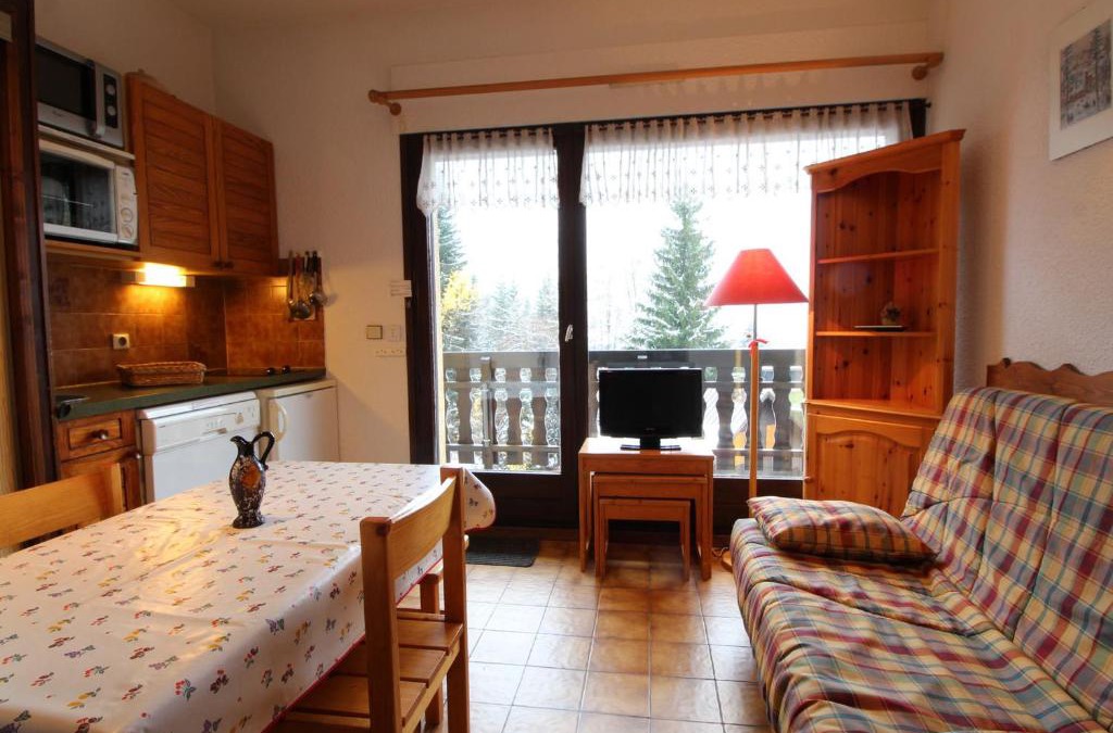 Les Carroz-d'Araches Apartment | Studio pour 4 personnes avec balcon et équipements, au pied des pistes et à 550m du village - FR-1-572-157
