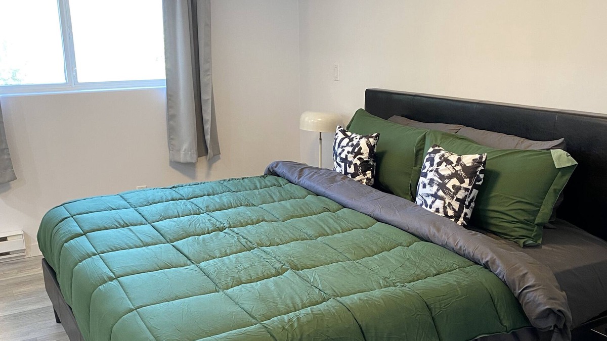 Blind Bay Apartment | Studio Suite for 2 Shuswap Views King Bd Semi-Lakefront Beach Laundry