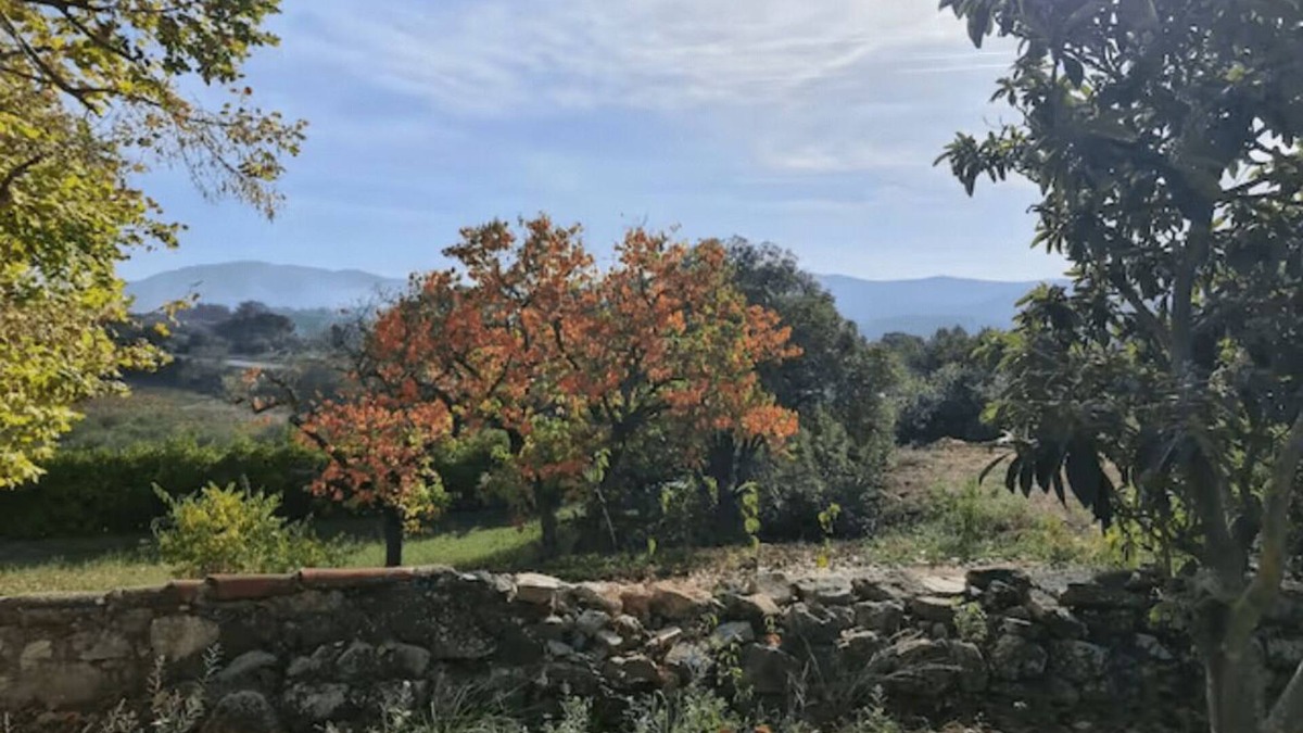 Carnoules Apartment | Studio Vintage