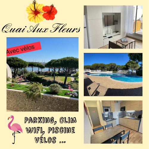 Le Grau-Du-Roi Apartment | Studio vue port, belle terrasse, piscine