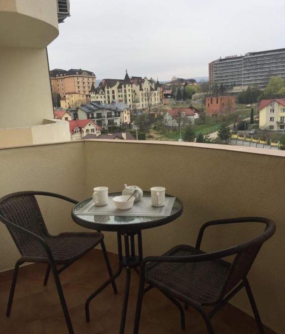 Truskavets Apartment | Studio with separate bed room