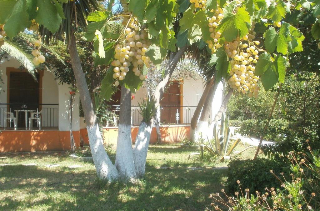 Xanemos Apartment | Studios Dimitris