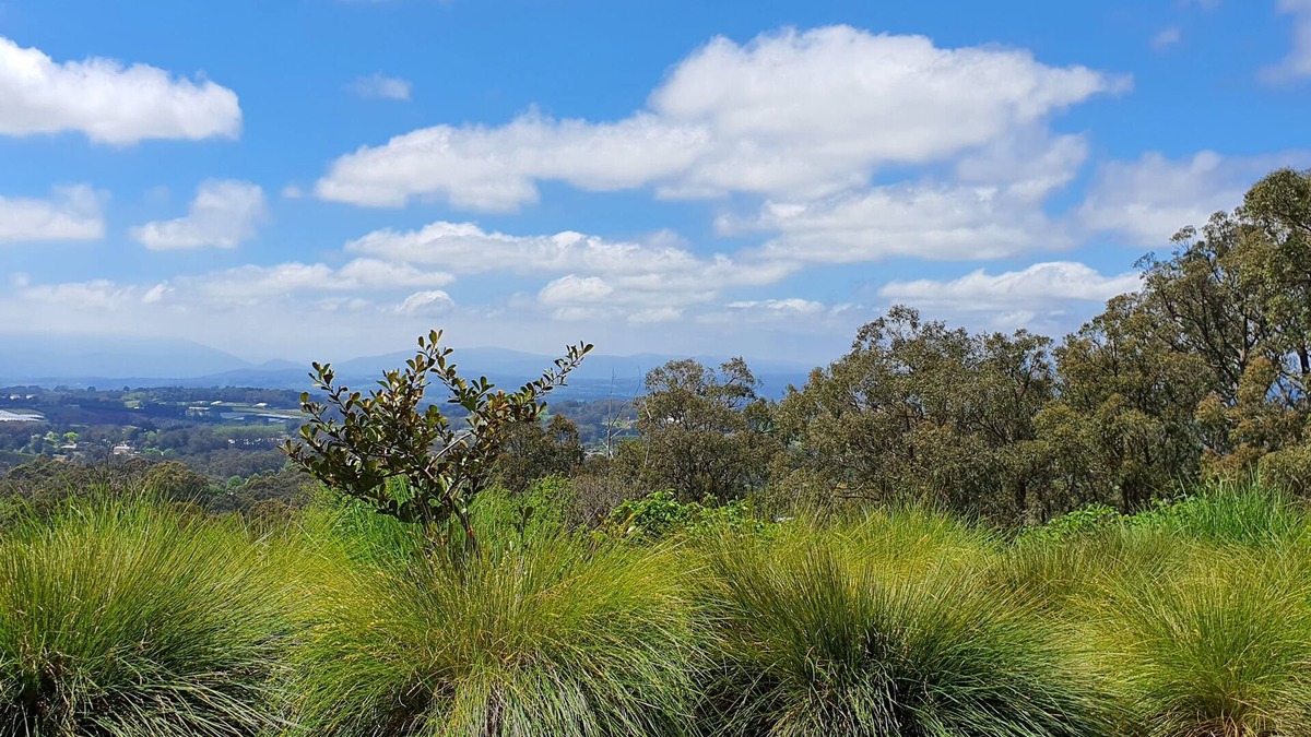 Monbulk Bed & Breakfast | Stunning 3 bedroom bnb retreat with breathtaking mountain views