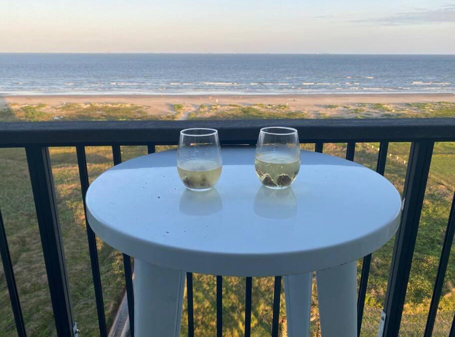 Galveston Apartment | Stunning 8th floor View of the Beach - Islander East Studio