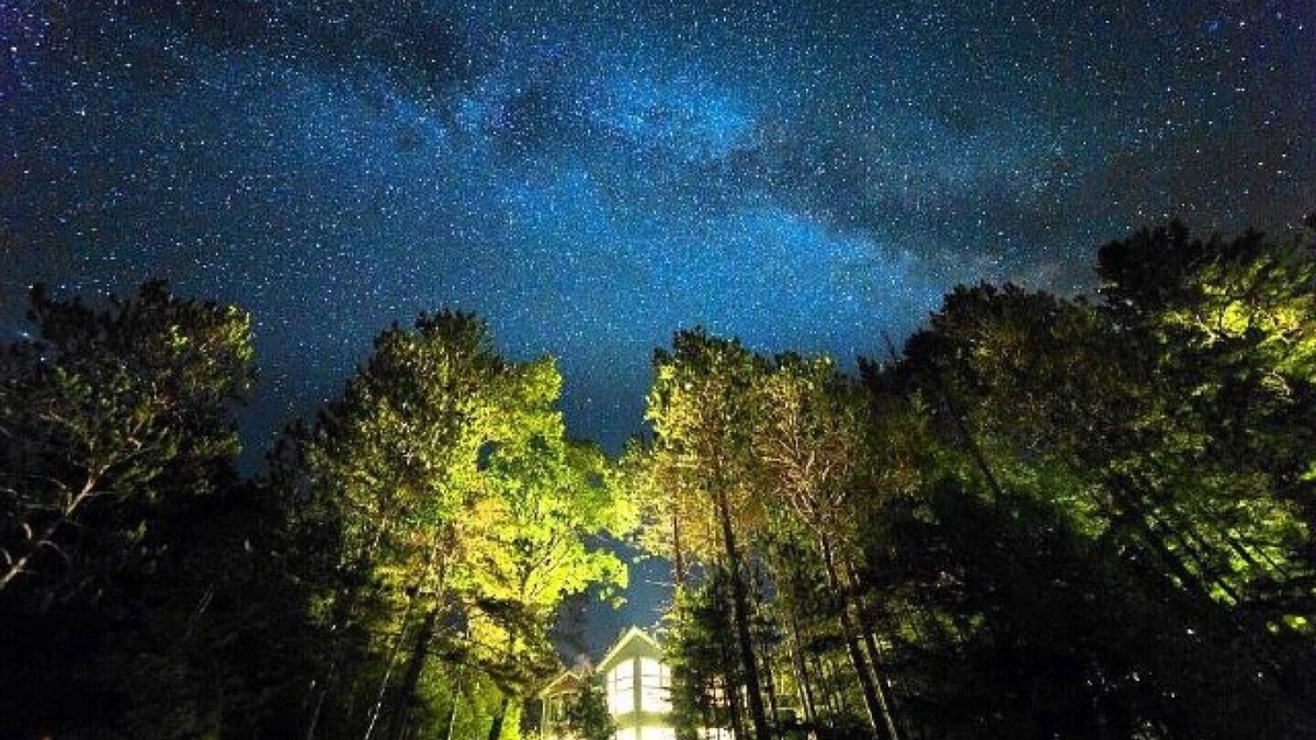 North Kawartha Cabin | Stunning cottage and waterfront on Chandos Lake!