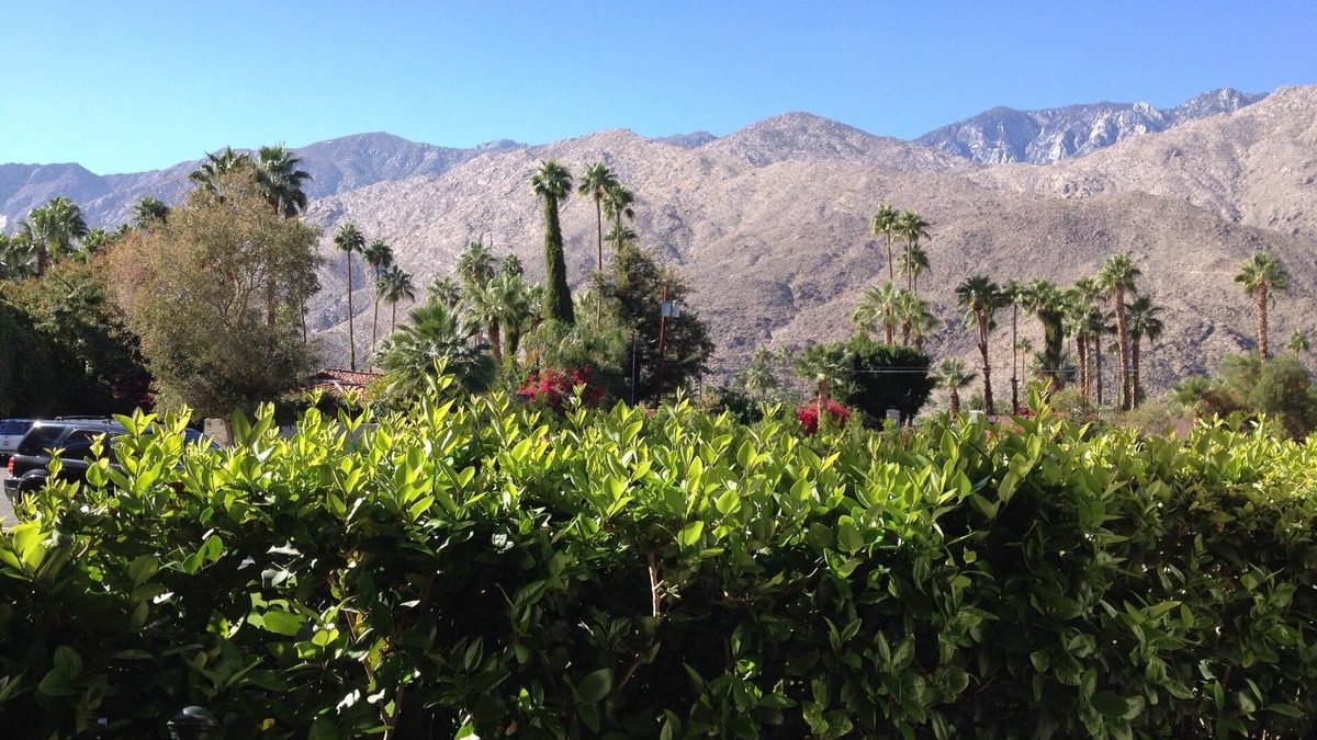Palm Springs Condo | Stunning mountain view in Deep Well area just south of downtown 1 bedroom condo