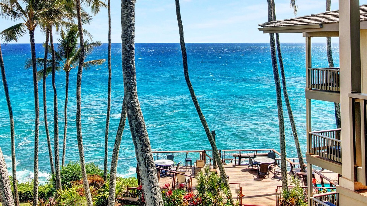 Poipu Condo | STUNNING OCEANFRONT PENTHOUSE 2Bd/2Ba *Fully Renovated, Pool * Poipu Palms Koloa