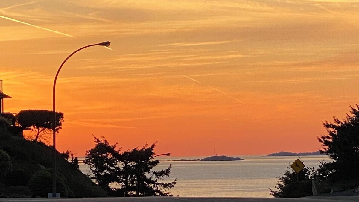 Regional District of Nanaimo House | Stunning oceanic views right outside, 4-minutes to WaterfrontPark, Cozy Comfort!