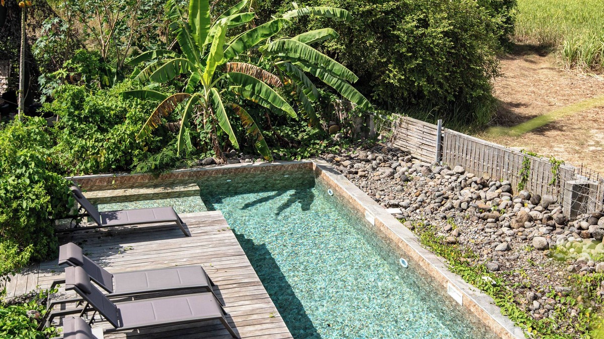 Petit-Canal Apartment | Stunning panorama of the sugarcane fields and the hills of Basse-Terre