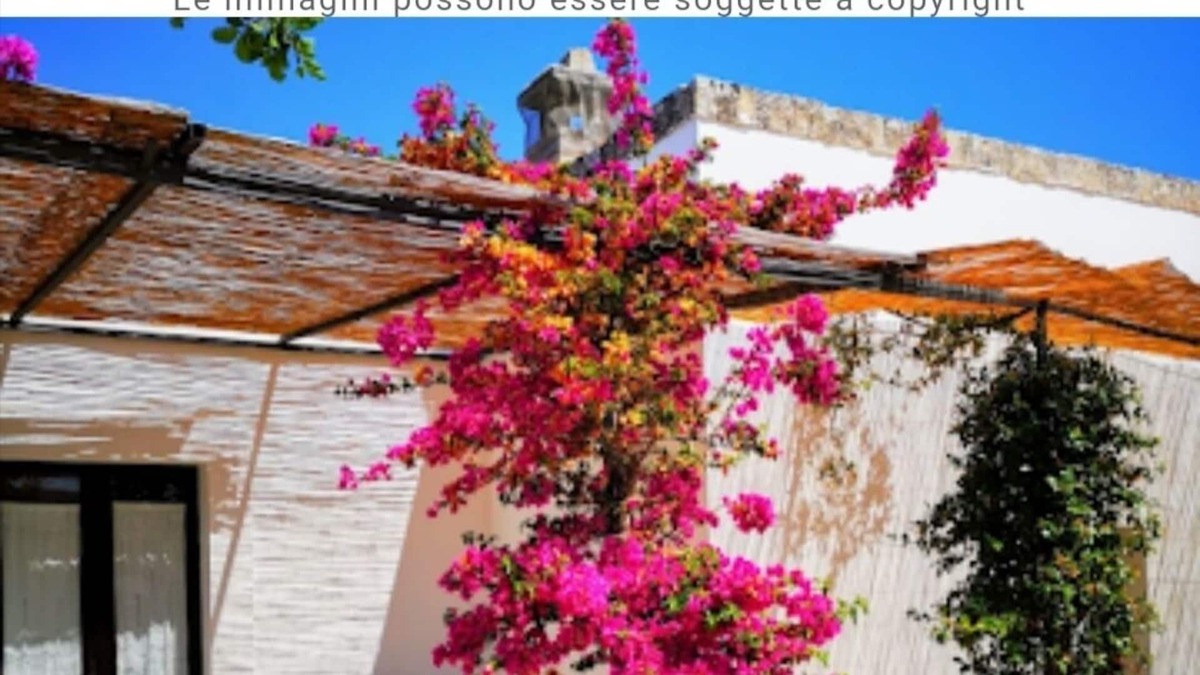 Rosa Marina Bed & Breakfast | Stunning quadruple room in ancient Masseria near the sea in a quiet olive trees.