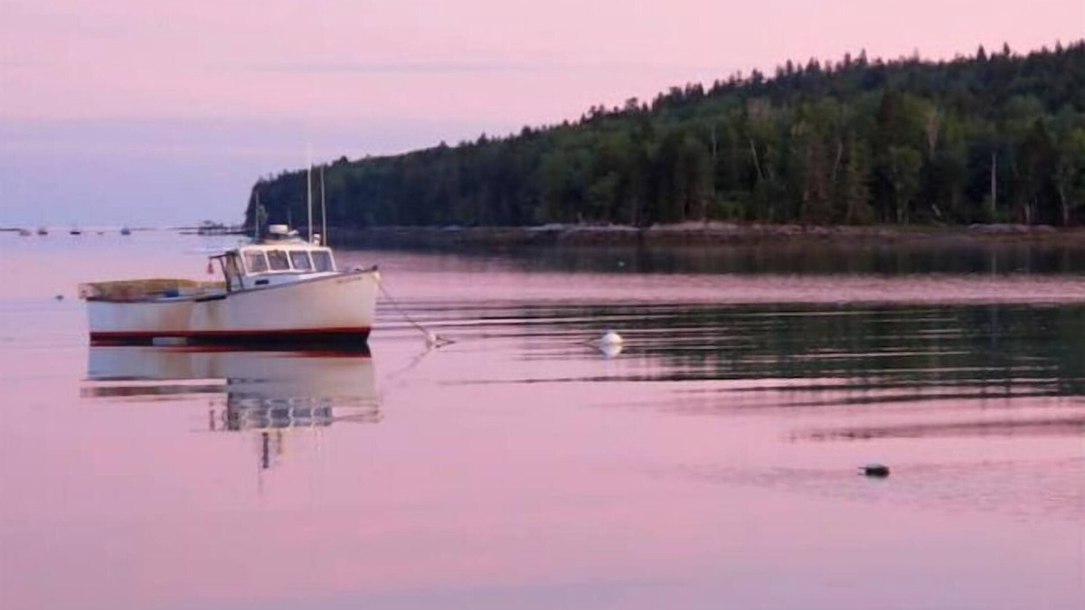 Steuben Cabin | *Stunning Views* Oceanfront Chalet, Fri-Fri Weekly Rental