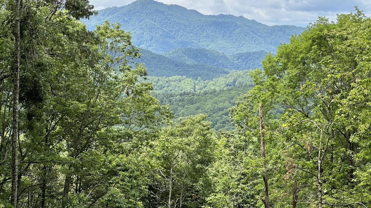Almond Cabin | Stunning Views, Superb Atmosphere, Modern Amenities, In the Middle of Nature