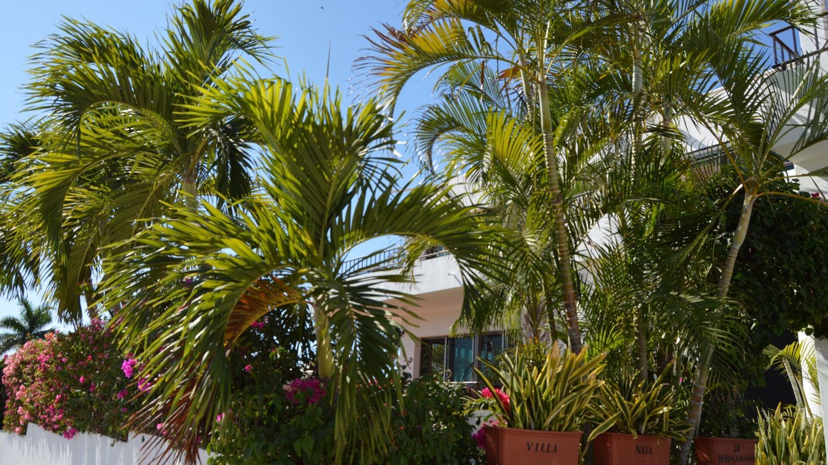 Cabo Bello House | STUNNING VILLA IN EXCLUSIVE CABO NEIGHBORHOOD!