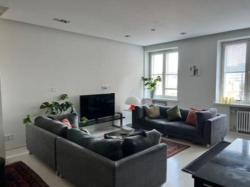 Kallio Apartment | Stylish and spacious 85m2 Hakaniemi Apartment with Market Hall View Next to Metro